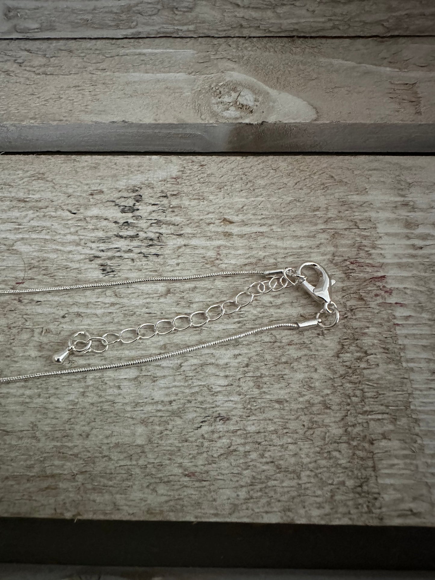 Silver Coloured Pendant Long Necklace