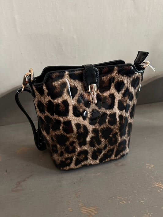 Leopard Print Crossbody Handbag