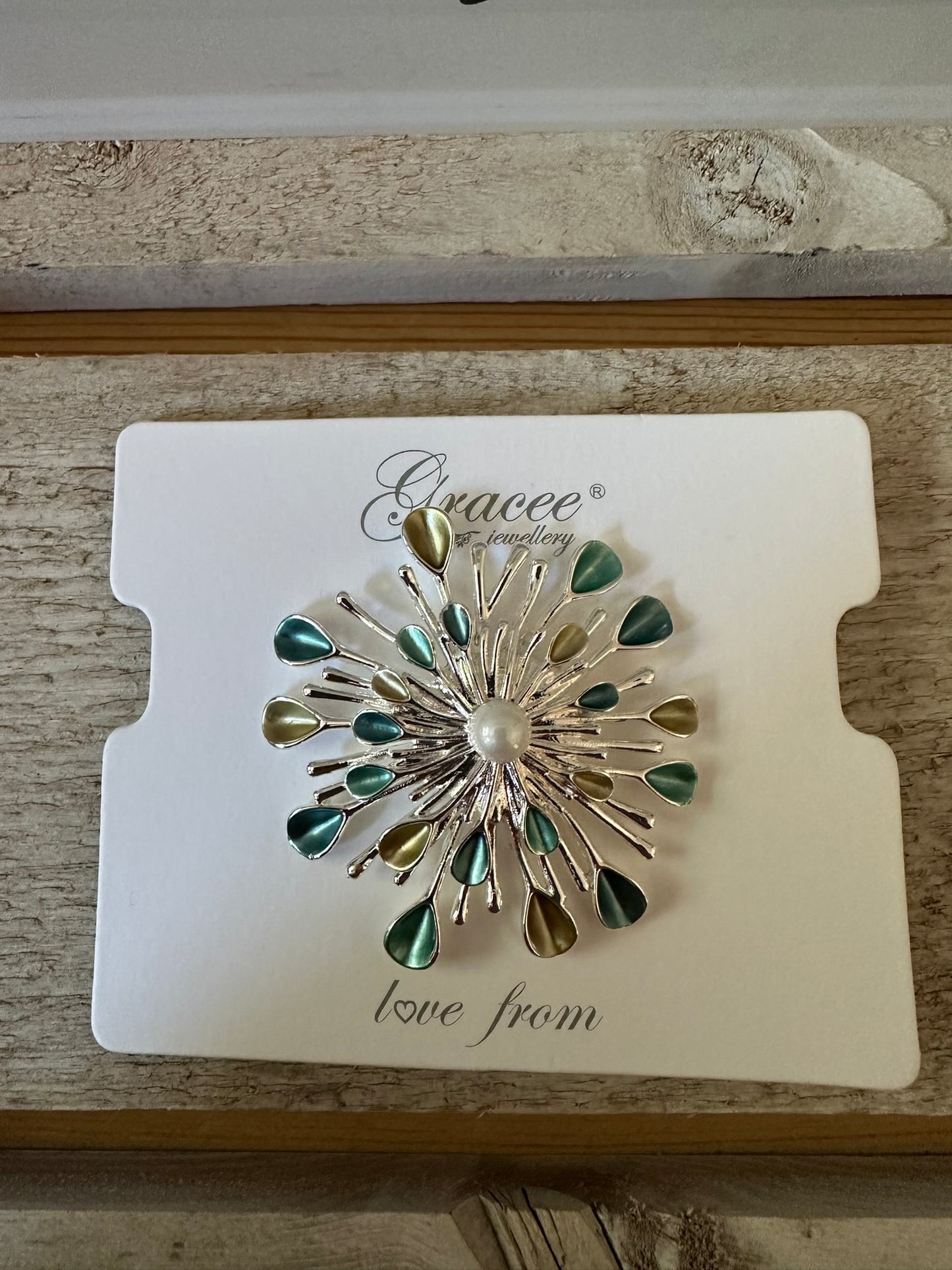 Magnetic Brooch
